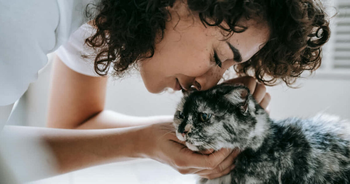 Die Rückkehr einer Katze zeigt, was ein Zuhause ausmacht